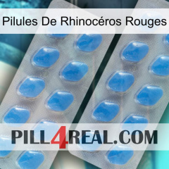 Pilules De Rhinocéros Rouges 23